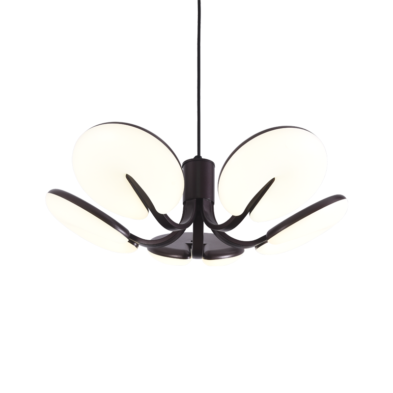 樹(shù)影 樹(shù)影