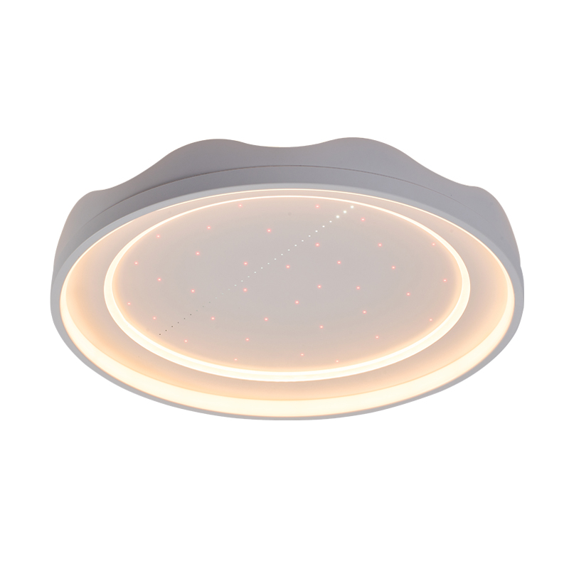 OTL/客廳燈/臥室燈/愛目流星雨系列