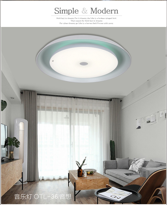 星樂(lè)OTL-48音樂(lè)燈