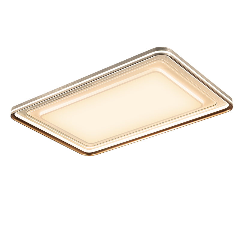 臥室燈，客廳燈，吸頂燈